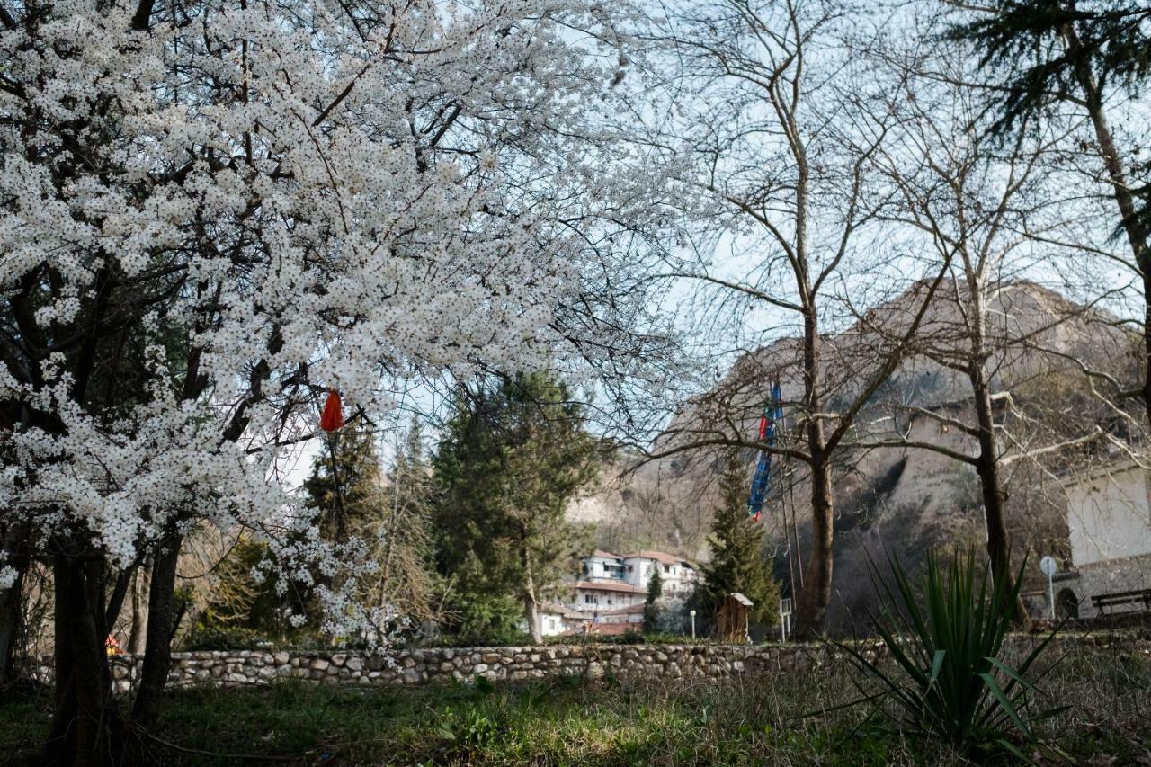 Комплекс Стария Чинар Мельник Экстерьер фото